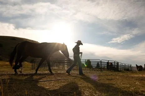 Discover the US Women Ranchers Redefining Contemporary Farm Life
